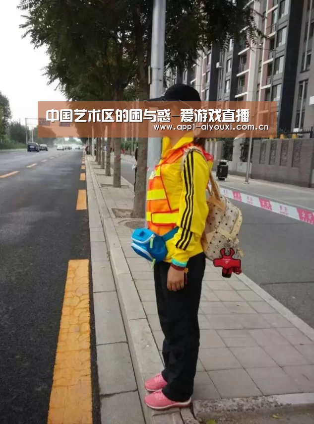 中国艺术区的困与惑-爱游戏直播(图4) 爱游戏体育App下载
