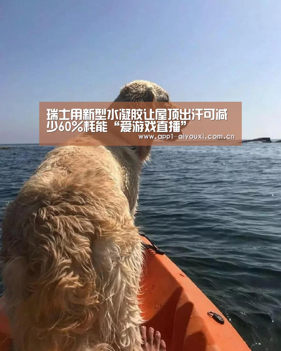 瑞士用新型水凝胶让屋顶出汗可减少60%耗能“爱游戏直播”(图1) 爱游戏直播