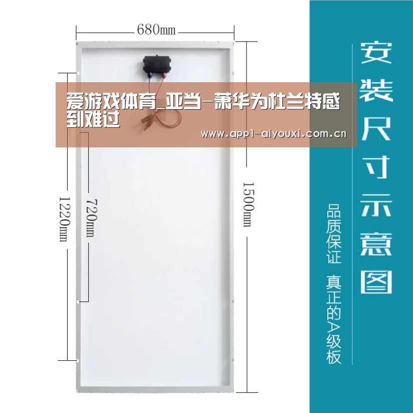 爱游戏体育_亚当-萧华为杜兰特感到难过(图1) 爱游戏app