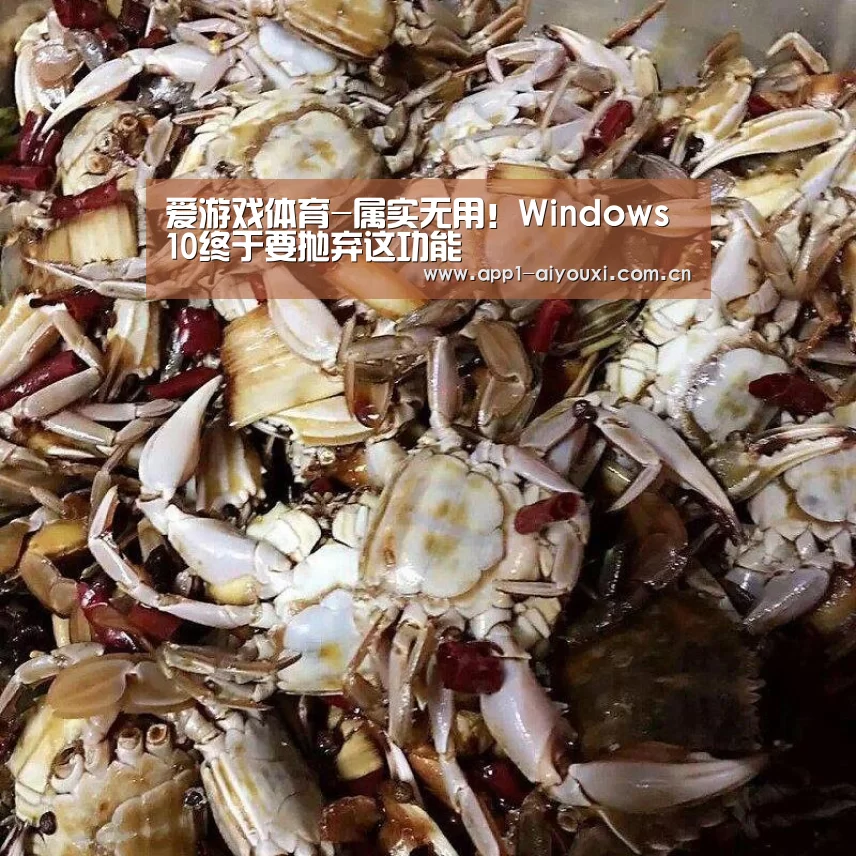 爱游戏体育-属实无用!Windows 10终于要抛弃这功能(图3) 爱游戏app