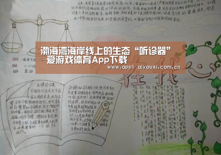 渤海湾海岸线上的生态“听诊器”-爱游戏体育App下载(图1) 爱游戏体育