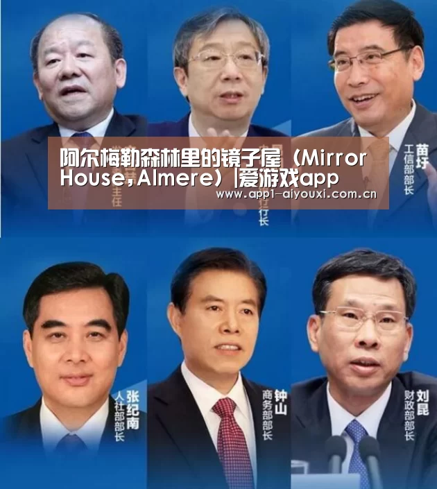 阿尔梅勒森林里的镜子屋(MirrorHouse,Almere)|爱游戏app(图1) 爱游戏直播