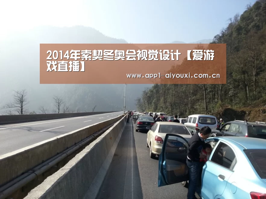 2014年索契冬奥会视觉设计【爱游戏直播】(图2) 爱游戏app