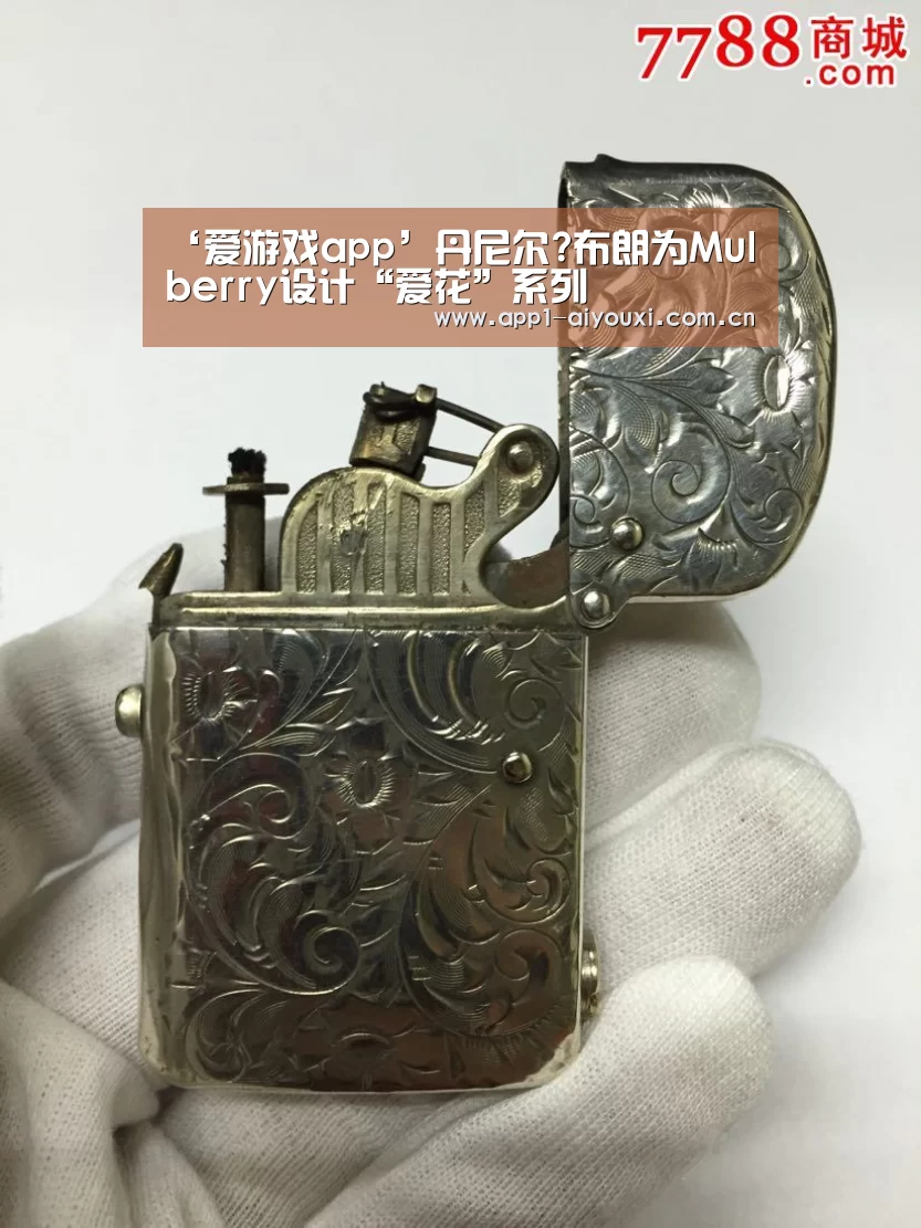 ‘爱游戏app’丹尼尔?布朗为Mulberry设计“爱花”系列(图3) 爱游戏体育