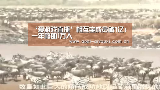 爱游戏体育App下载