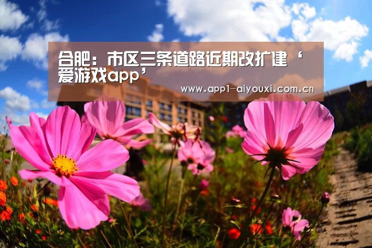 合肥:市区三条道路近期改扩建‘爱游戏app’(图2) 爱游戏app