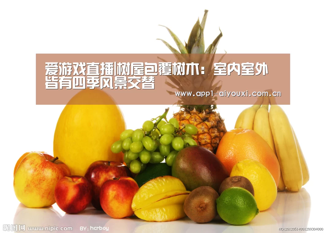 爱游戏直播|树屋包覆树木:室内室外皆有四季风景交替(图1) 爱游戏体育