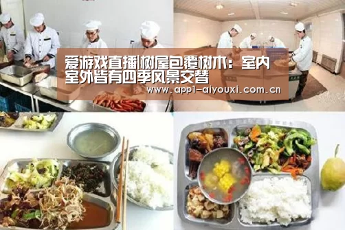 爱游戏直播|树屋包覆树木:室内室外皆有四季风景交替(图2) 爱游戏直播